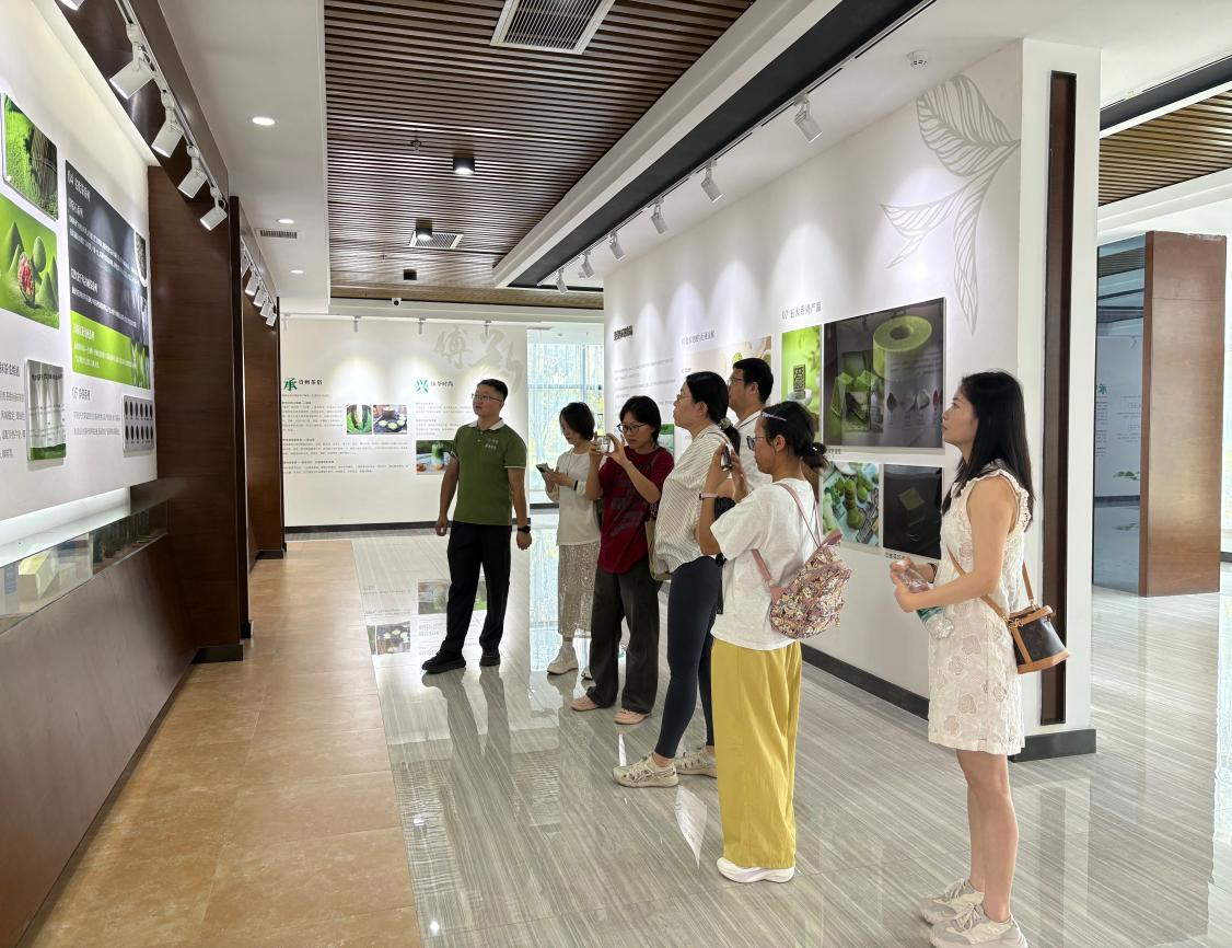 暑期赋能 | 铜仁师生团队联合开展抹茶文化调研活动